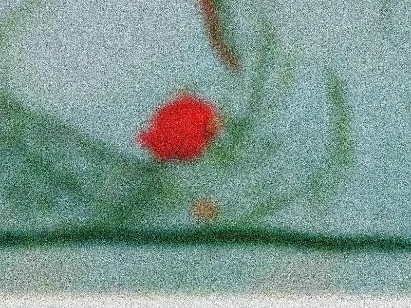 Bilan